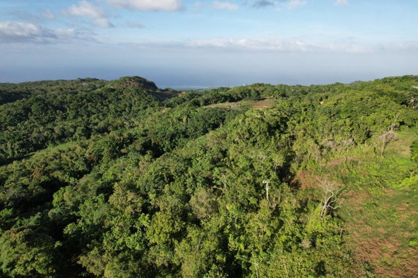 Fourth image of Lot#105 Southfield, Runa in Runaway Bay, St. Ann, Jamaica - property is For Sale