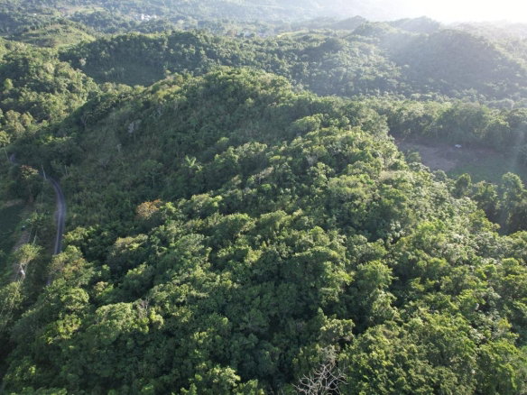 First image of Lot#105 Southfield, Runa in Runaway Bay, St. Ann, Jamaica - property is For Sale