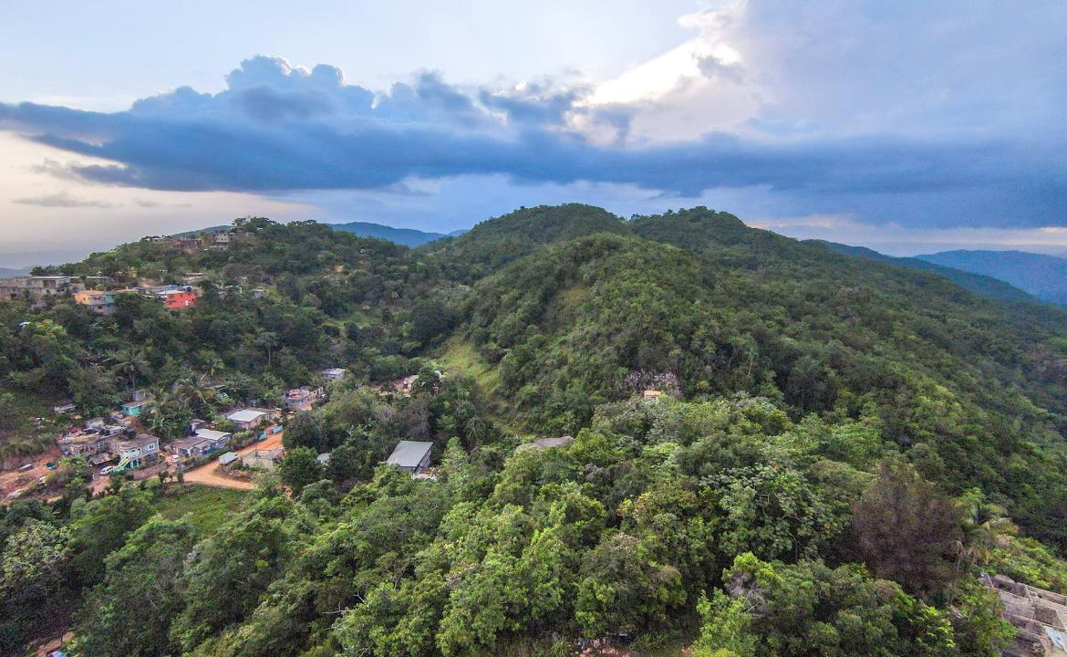 First image of Spicy Grove in Bamboo, St. Catherine, Jamaica - property is For Sale