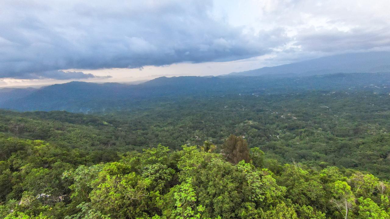 Residential-Lot-for-Sale-in-Spicy-Grove-St.-Catherine-Jamaica Fourth image of Spicy Grove in Bamboo, St. Catherine, Jamaica - property is For Sale