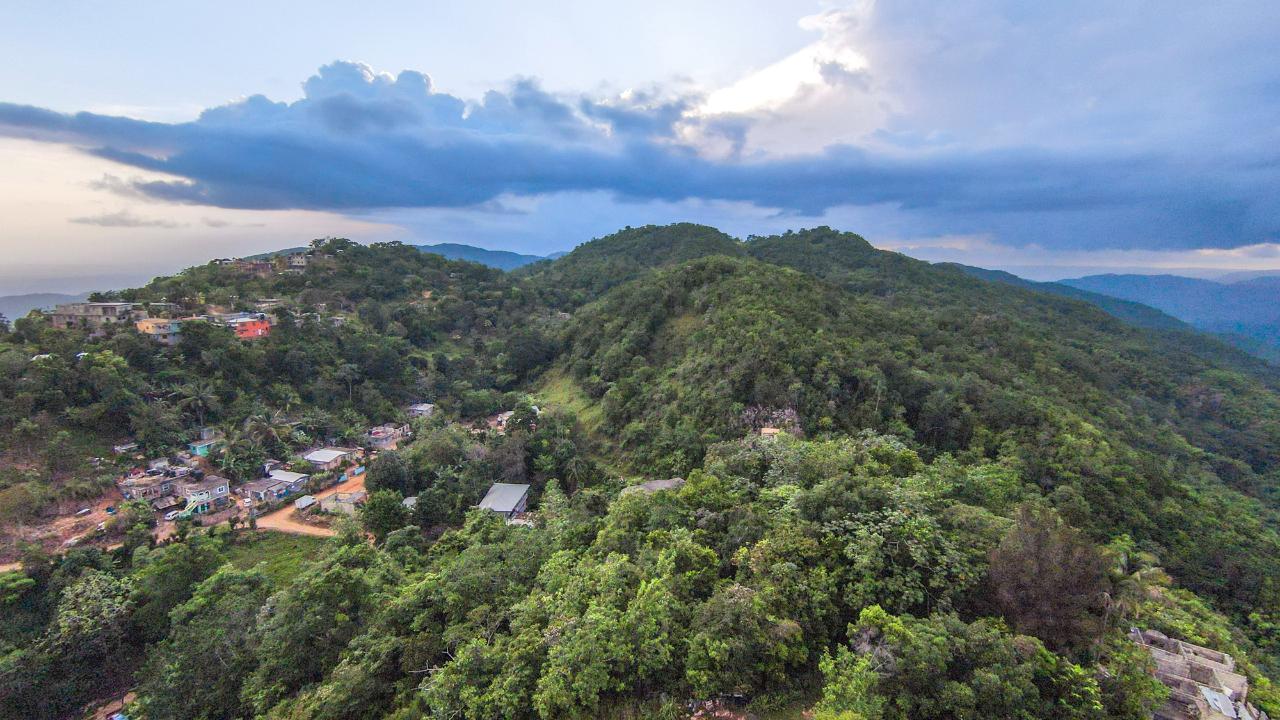 Residential-Lot-for-Sale-in-Spicy-Grove-St.-Catherine-Jamaica First image of Spicy Grove in Bamboo, St. Catherine, Jamaica - property is For Sale