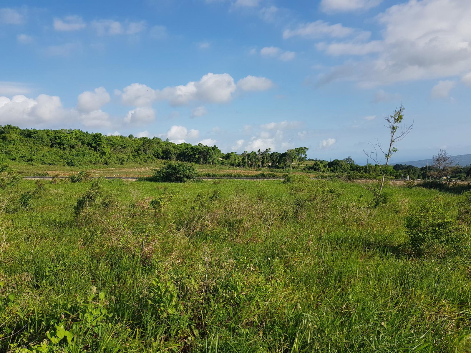 Eleventh image of 14- Spur Tree Heights in Spur Tree, Manchester, Jamaica - property is For Sale