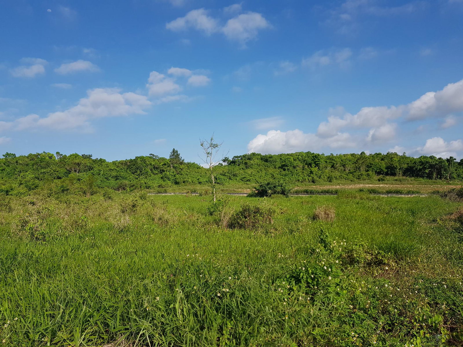 Fifth image of 14- Spur Tree Heights in Spur Tree, Manchester, Jamaica - property is For Sale
