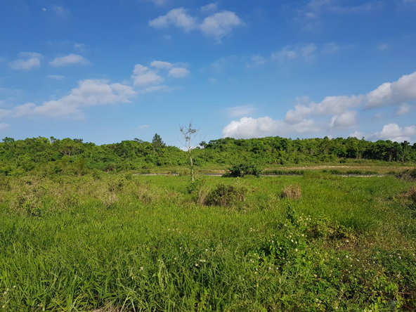 Fifth image of 14- Spur Tree Heights in Spur Tree, Manchester, Jamaica - property is For Sale