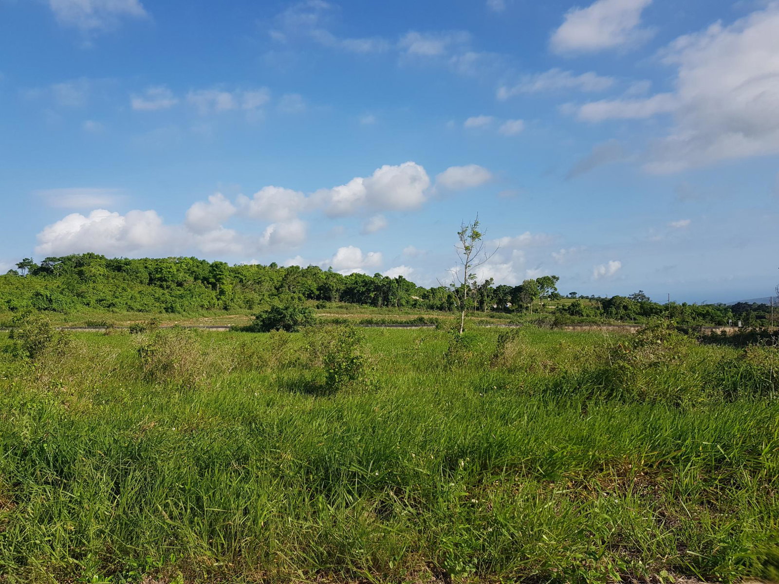 Eighth image of 14- Spur Tree Heights in Spur Tree, Manchester, Jamaica - property is For Sale