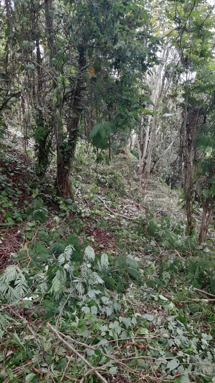 Fourteenth image of 14a Castle Drive in Kingston 9, St. Andrew, Jamaica - property is For Sale