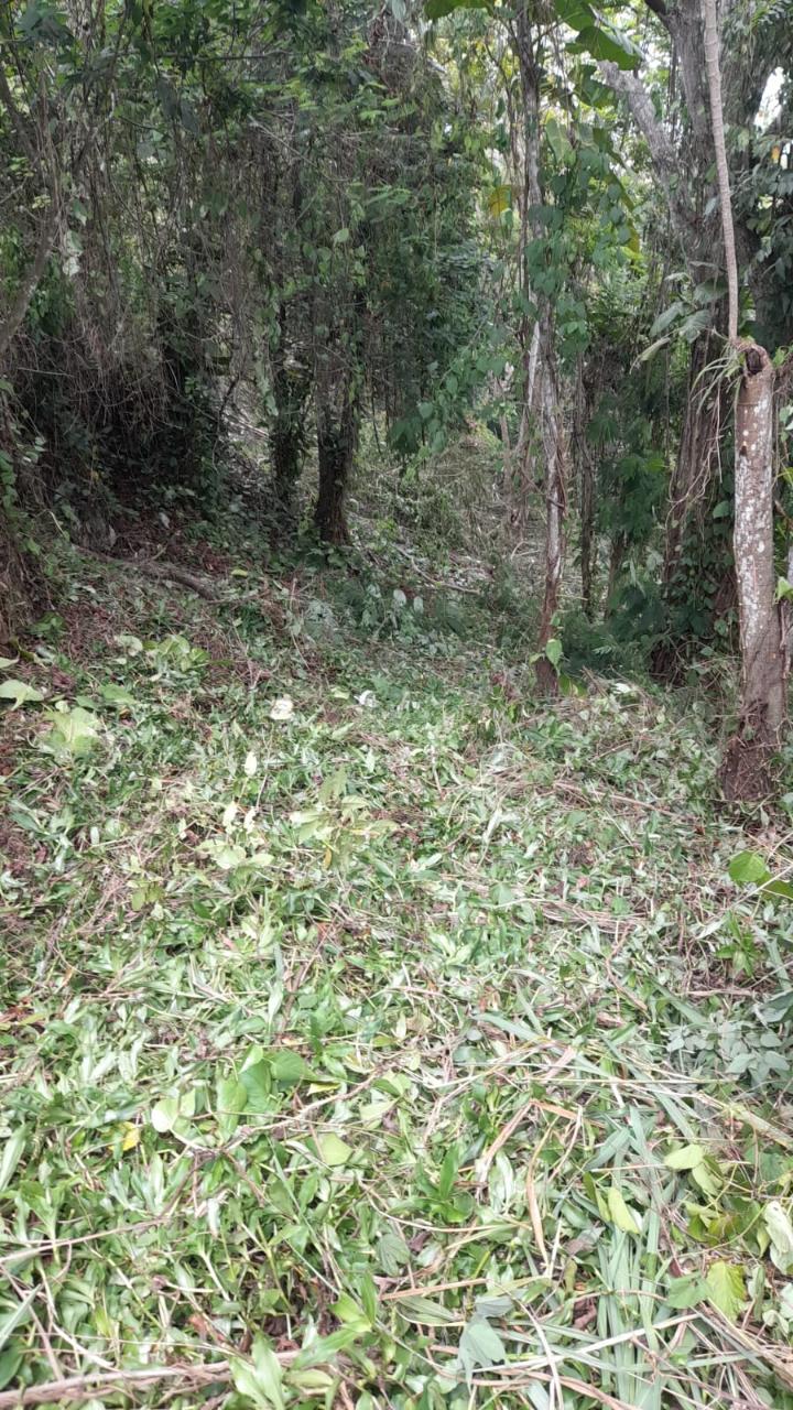 Fifteenth image of 14a Castle Drive in Kingston 9, St. Andrew, Jamaica - property is For Sale