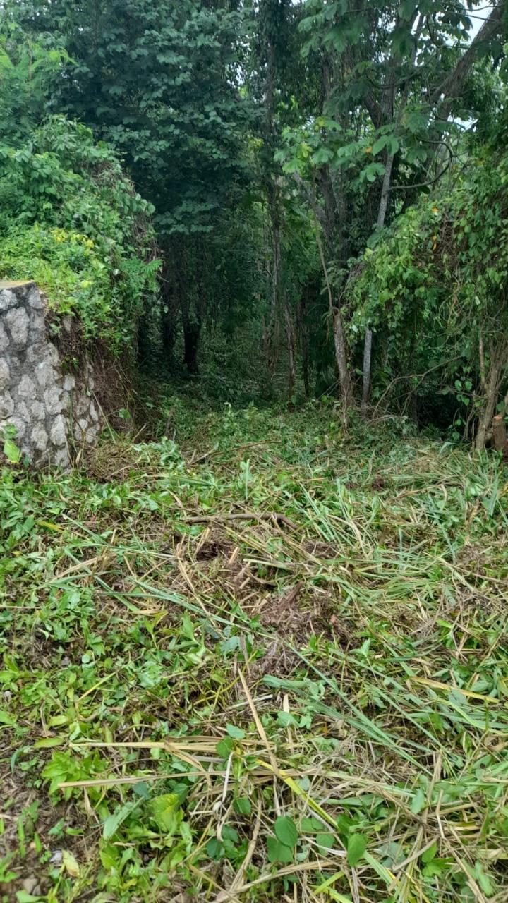 Sixteenth image of 14a Castle Drive in Kingston 9, St. Andrew, Jamaica - property is For Sale