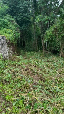 Sixteenth image of 14a Castle Drive in Kingston 9, St. Andrew, Jamaica - property is For Sale