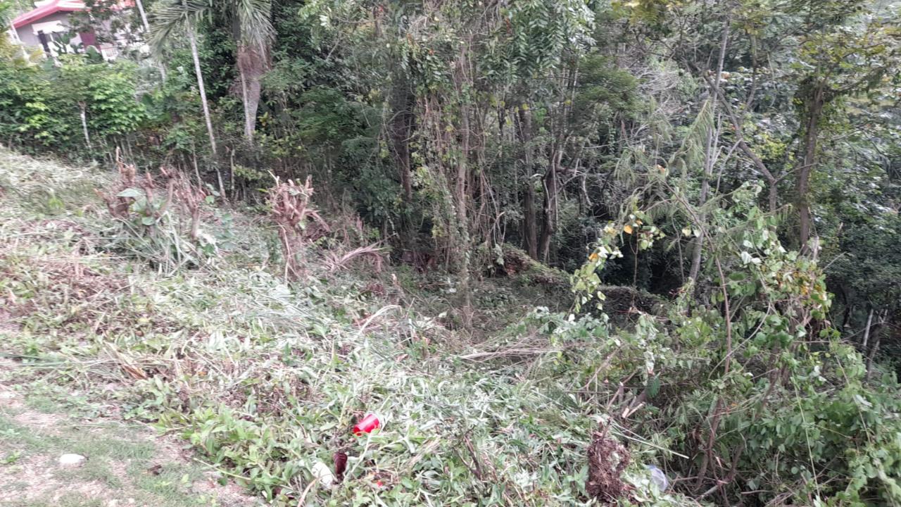 Sixth image of 14a Castle Drive in Kingston 9, St. Andrew, Jamaica - property is For Sale