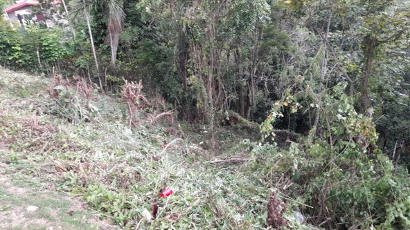 Sixth image of 14a Castle Drive in Kingston 9, St. Andrew, Jamaica - property is For Sale