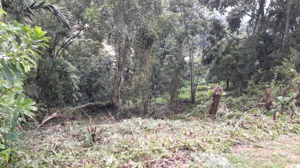 Eighth image of 14a Castle Drive in Kingston 9, St. Andrew, Jamaica - property is For Sale