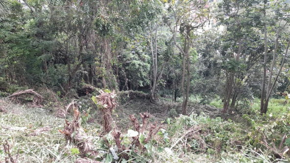 Tenth image of 14a Castle Drive in Kingston 9, St. Andrew, Jamaica - property is For Sale