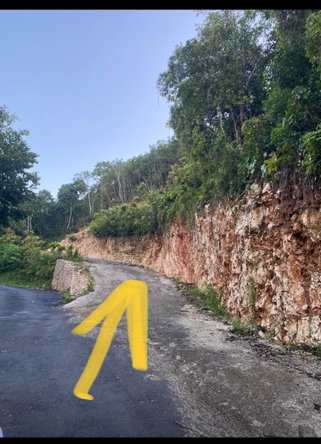 Second image of Lot 1a Part of Water House Wedge in RED HILLS SQUARE, St. Andrew, Jamaica - property is For Sale