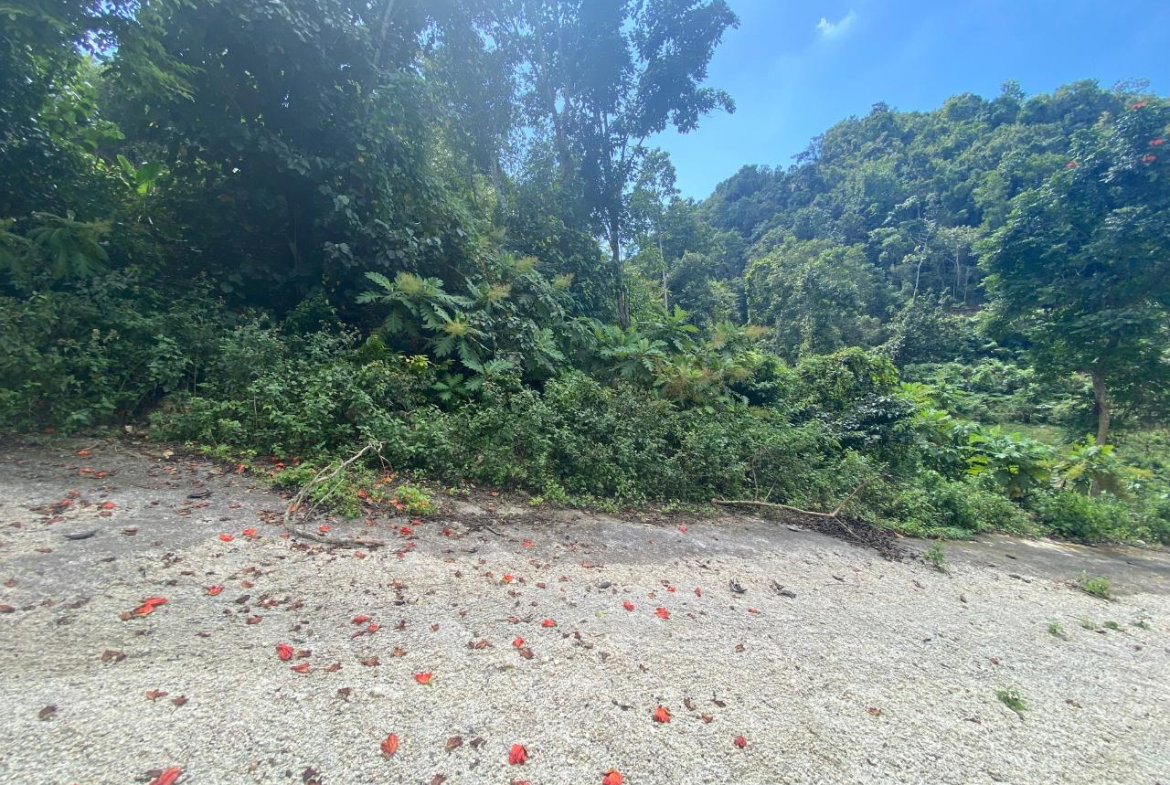 Fourth image of Lot 6 Part of Water House Wedge in RED HILLS SQUARE, St. Andrew, Jamaica - property is For Sale