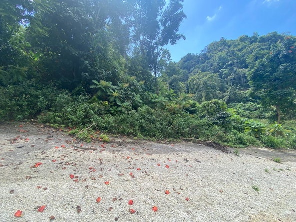 Fourth image of Lot 6 Part of Water House Wedge in RED HILLS SQUARE, St. Andrew, Jamaica - property is For Sale