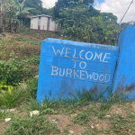 First image of Lot 1a Part of Water House Wedge in RED HILLS SQUARE, St. Andrew, Jamaica - property is For Sale