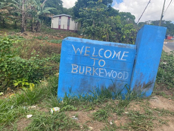 First image of Lot 1a Part of Water House Wedge in RED HILLS SQUARE, St. Andrew, Jamaica - property is For Sale