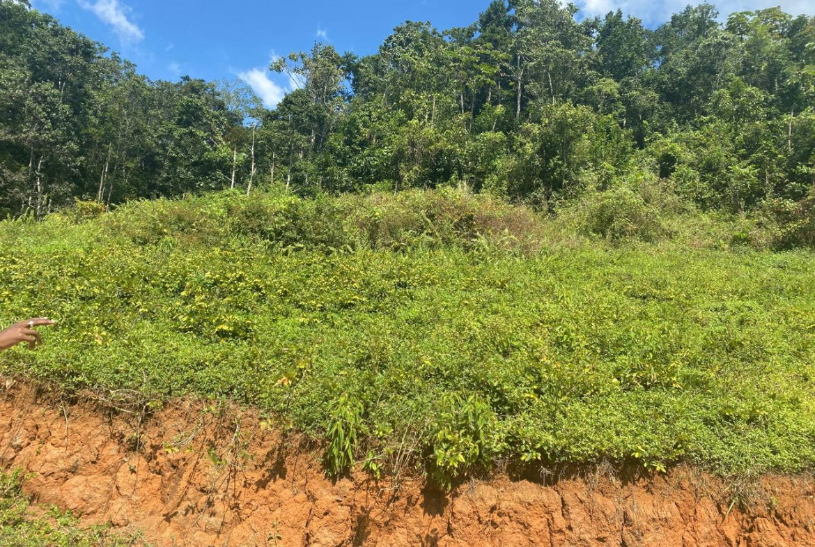Second image of Lot 6 Part of Water House Wedge in RED HILLS SQUARE, St. Andrew, Jamaica - property is For Sale