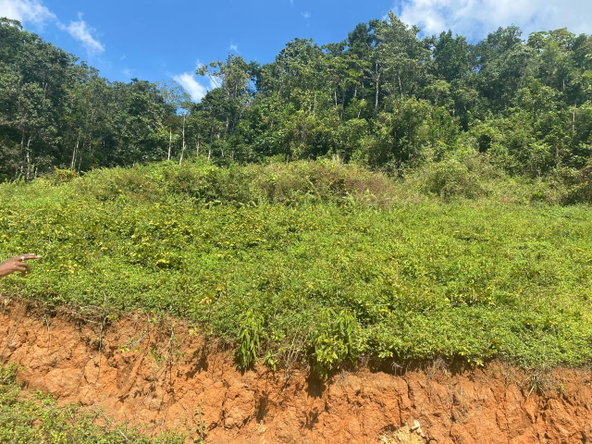 Second image of Lot 6 Part of Water House Wedge in RED HILLS SQUARE, St. Andrew, Jamaica - property is For Sale