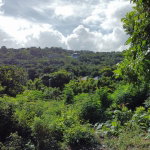 First image of 188 Belle Air in Belle Air, St. Ann, Jamaica - property is For Sale