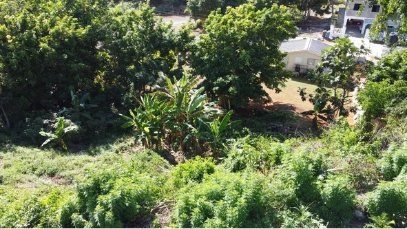 Third image of 188 Belle Air in Belle Air, St. Ann, Jamaica - property is For Sale
