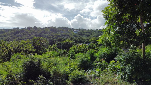 First image of 188 Belle Air in Belle Air, St. Ann, Jamaica - property is For Sale
