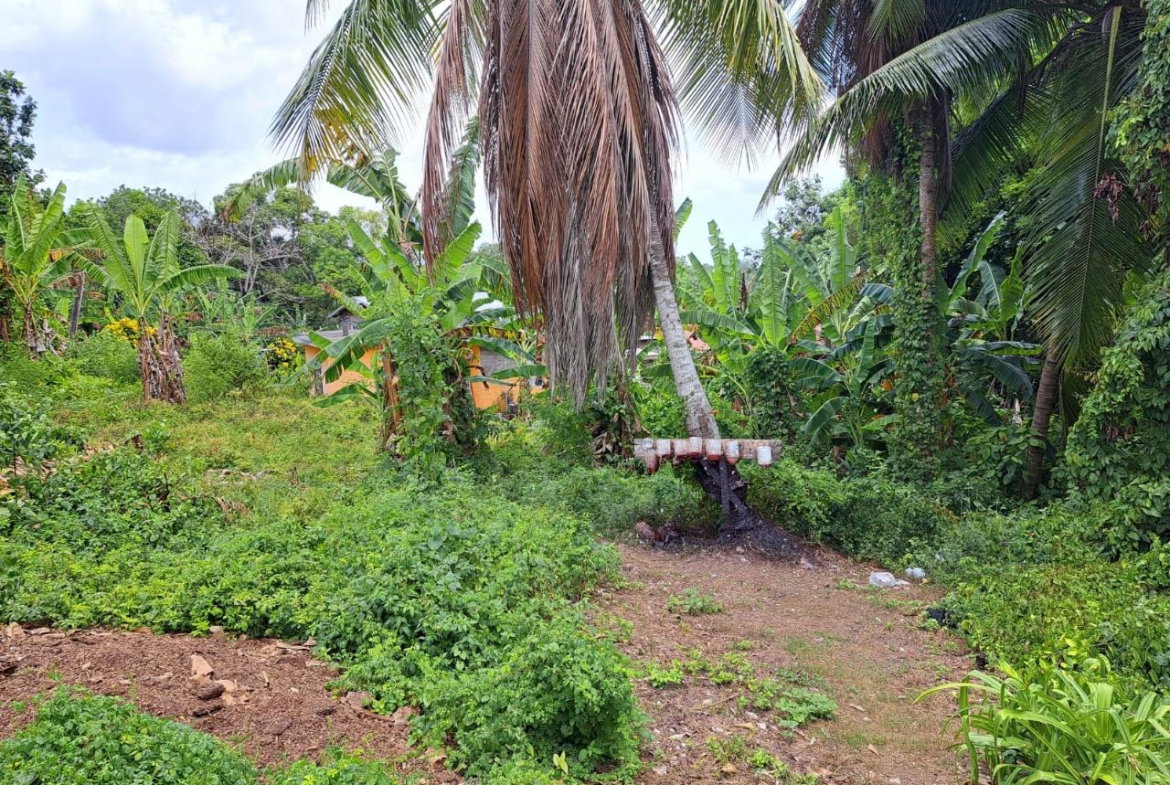 Second image of Lodge, Mile End in Lodge, St. Ann, Jamaica - property is For Sale