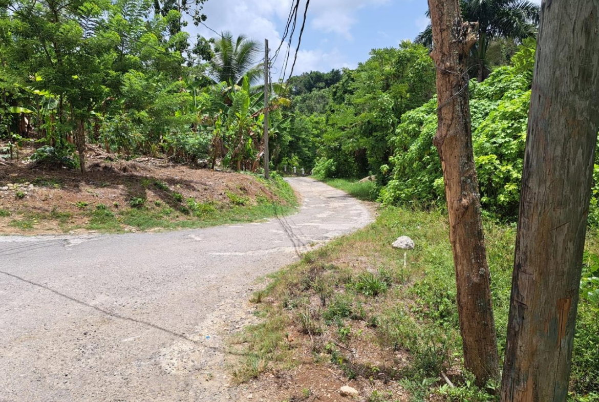 First image of Lodge, Mile End in Lodge, St. Ann, Jamaica - property is For Sale