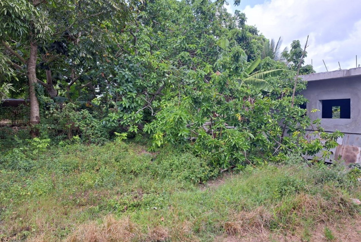 Third image of Lodge, Mile End in Lodge, St. Ann, Jamaica - property is For Sale