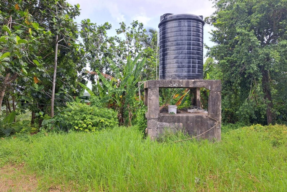 Sixth image of Lodge, Mile End in Lodge, St. Ann, Jamaica - property is For Sale