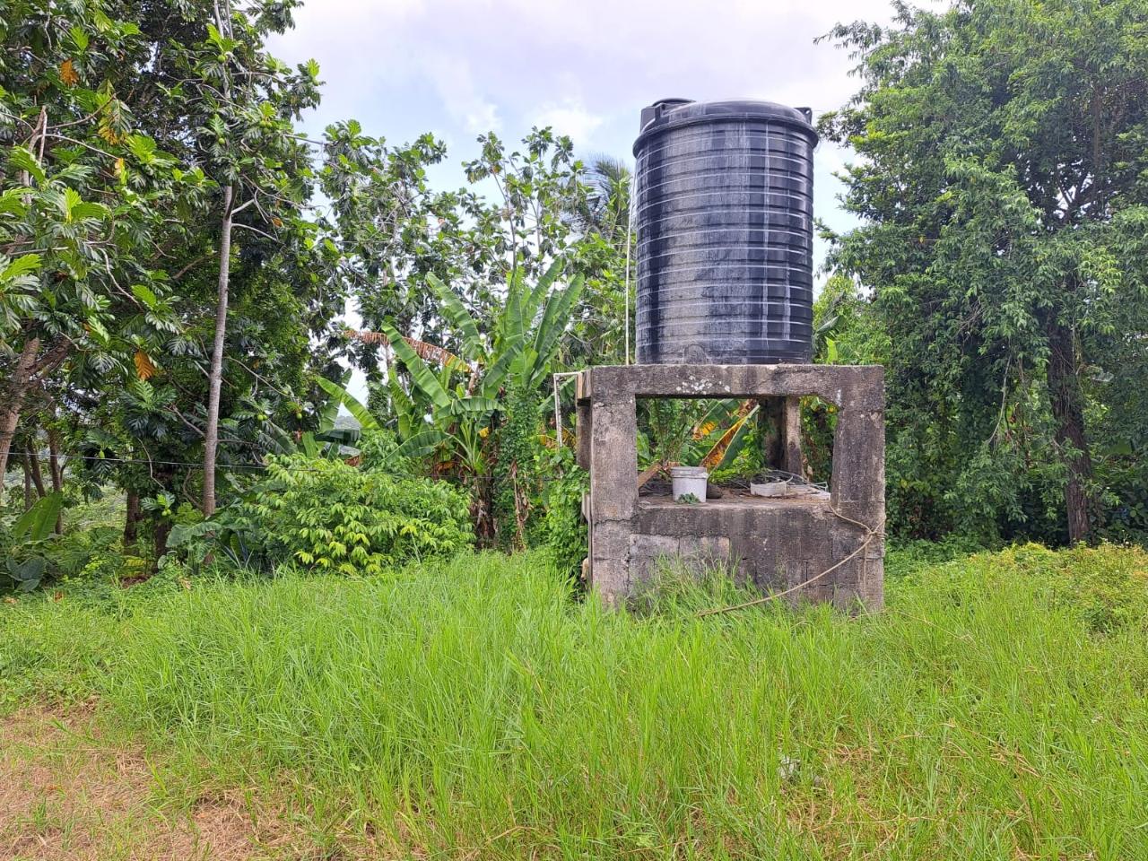 Sixth image of Lodge, Mile End in Lodge, St. Ann, Jamaica - property is For Sale