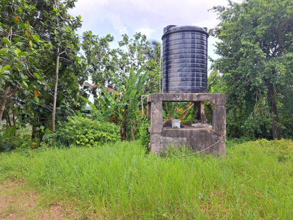 Sixth image of Lodge, Mile End in Lodge, St. Ann, Jamaica - property is For Sale