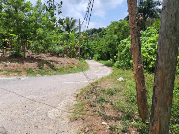 First image of Lodge, Mile End in Lodge, St. Ann, Jamaica - property is For Sale
