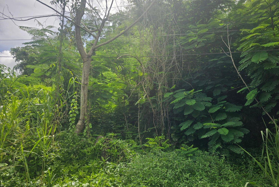 Second image of Lot 3 Ingleside Drive in Browns Town, St. Ann, Jamaica - property is For Sale