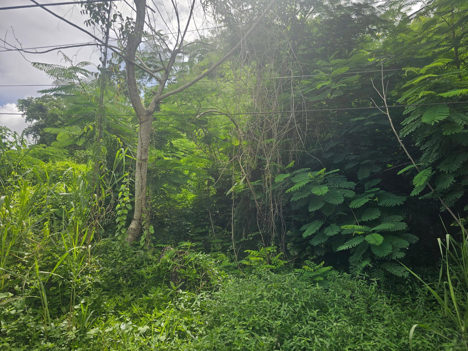Second image of Lot 3 Ingleside Drive in Browns Town, St. Ann, Jamaica - property is For Sale
