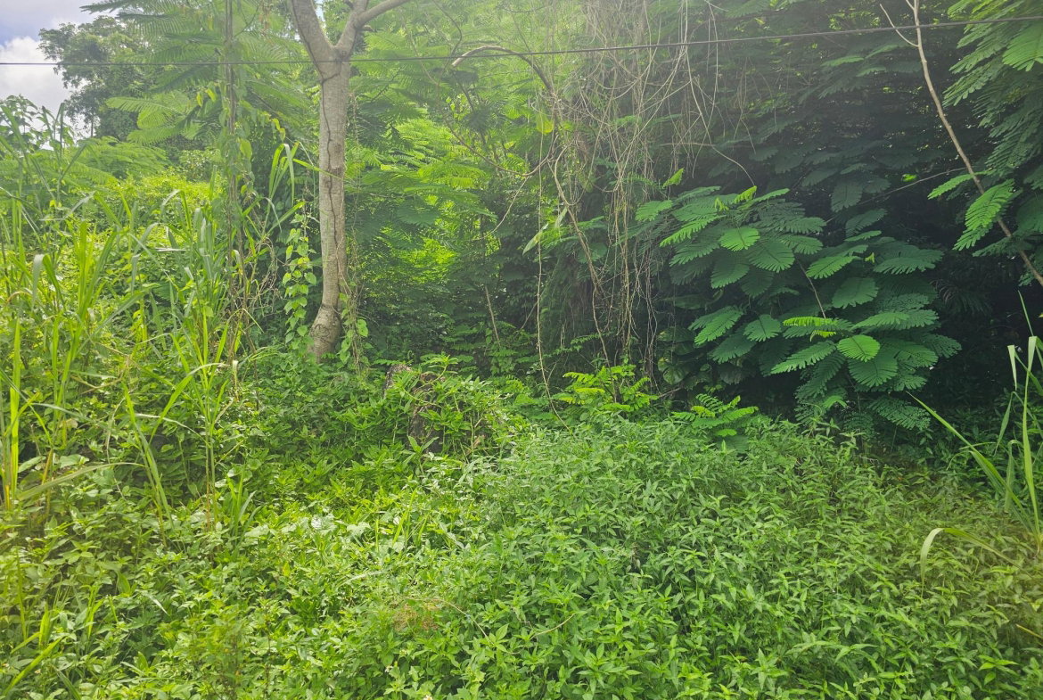Third image of Lot 3 Ingleside Drive in Browns Town, St. Ann, Jamaica - property is For Sale