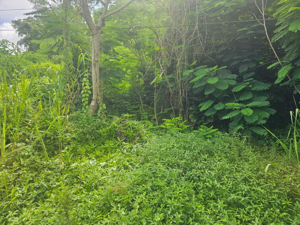 Third image of Lot 3 Ingleside Drive in Browns Town, St. Ann, Jamaica - property is For Sale