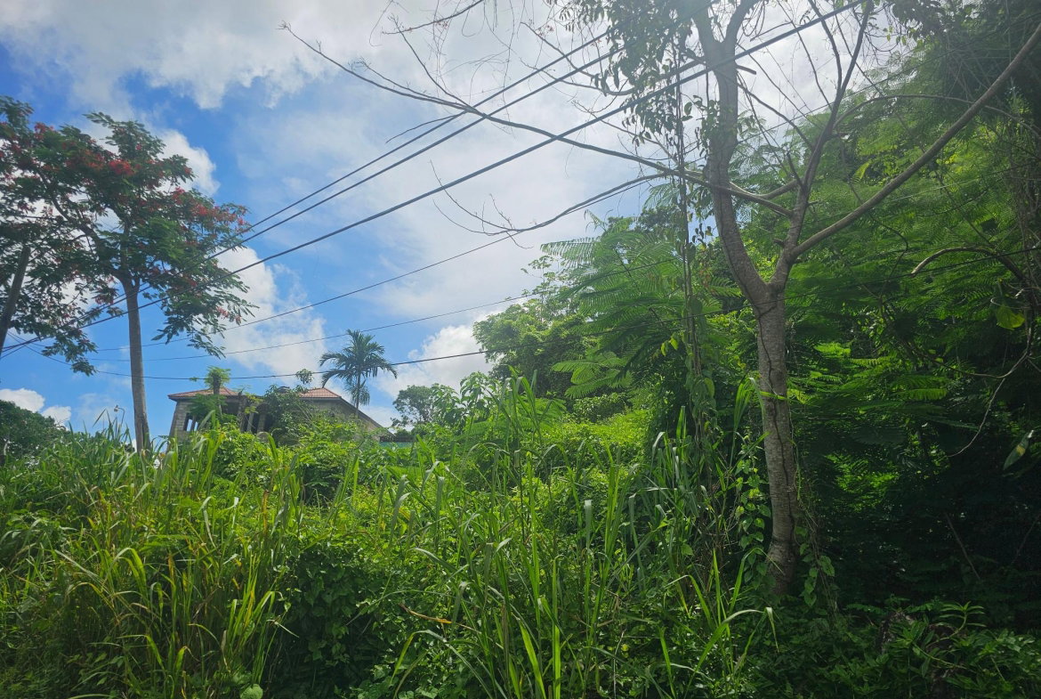 Fourth image of Lot 3 Ingleside Drive in Browns Town, St. Ann, Jamaica - property is For Sale