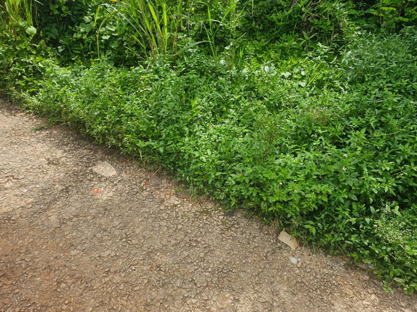 Fifth image of Lot 3 Ingleside Drive in Browns Town, St. Ann, Jamaica - property is For Sale