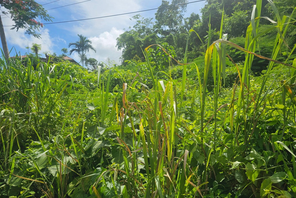 Sixth image of Lot 3 Ingleside Drive in Browns Town, St. Ann, Jamaica - property is For Sale