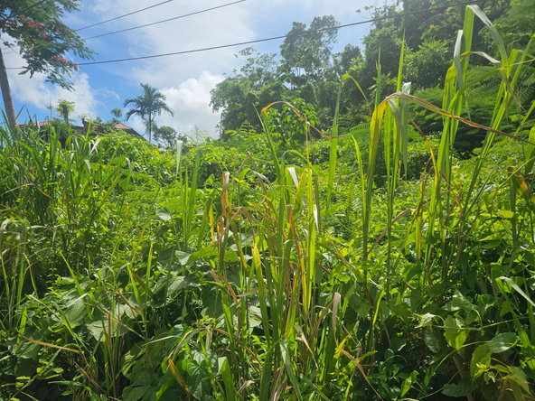 Sixth image of Lot 3 Ingleside Drive in Browns Town, St. Ann, Jamaica - property is For Sale