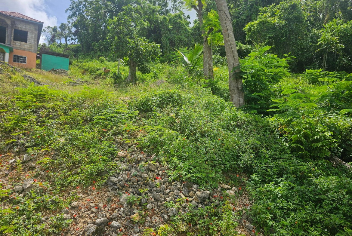 Eighth image of Lot 3 Ingleside Drive in Browns Town, St. Ann, Jamaica - property is For Sale