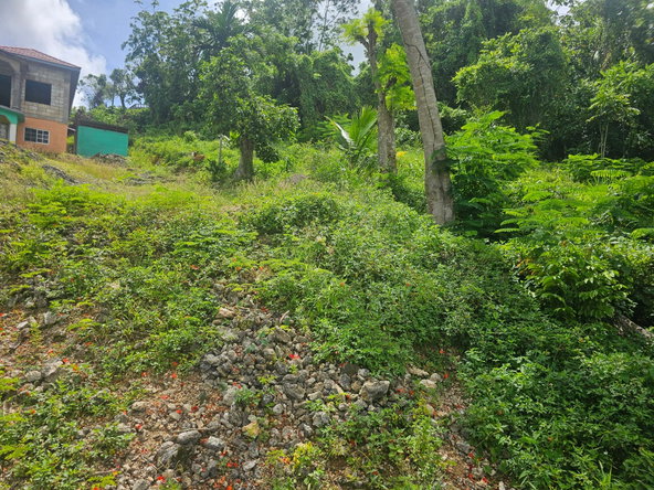 Eighth image of Lot 3 Ingleside Drive in Browns Town, St. Ann, Jamaica - property is For Sale