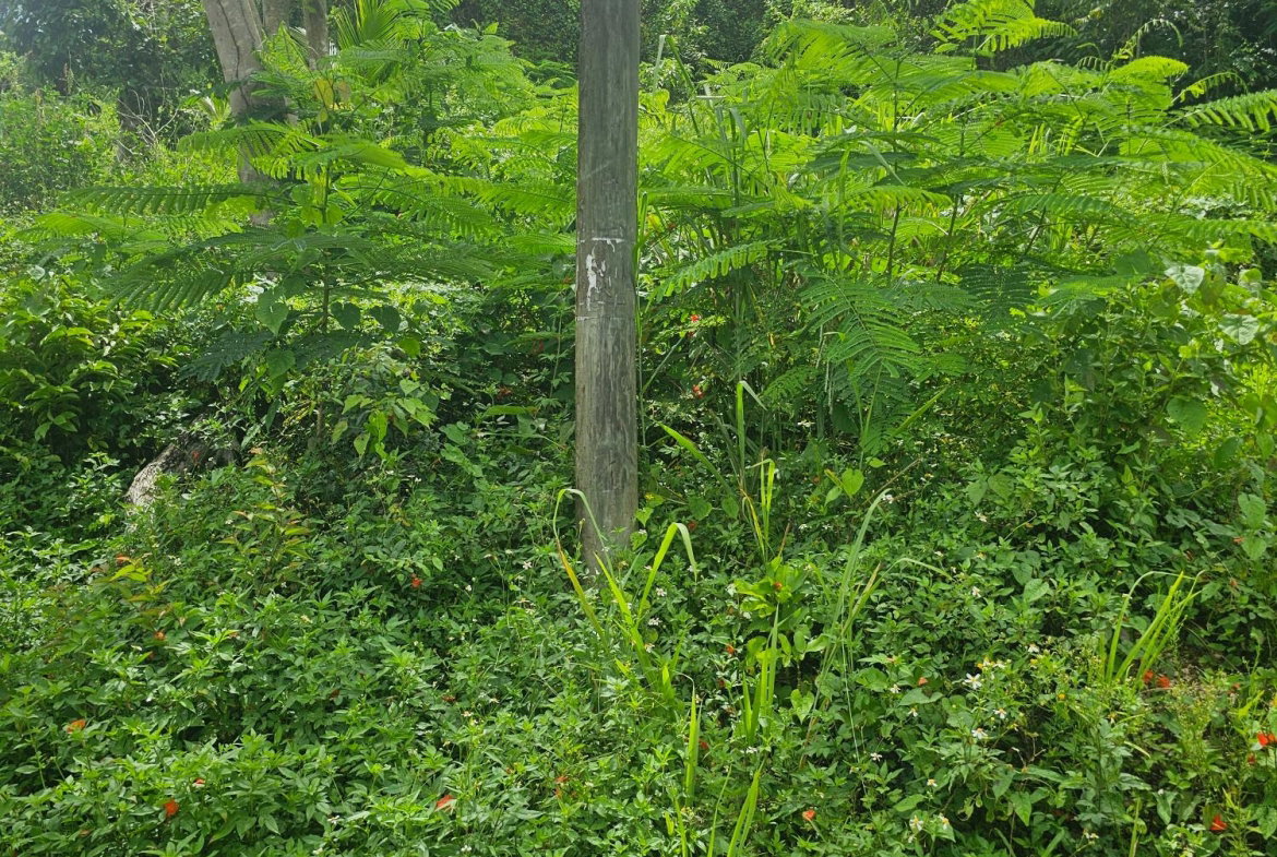 Ninth image of Lot 3 Ingleside Drive in Browns Town, St. Ann, Jamaica - property is For Sale