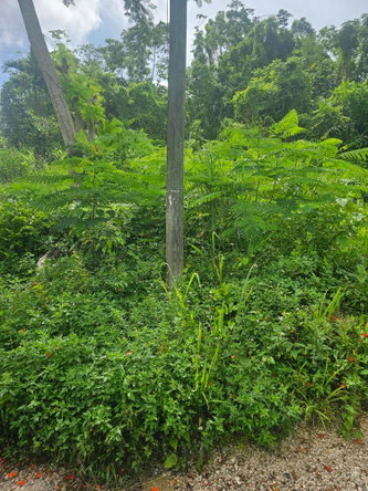Ninth image of Lot 3 Ingleside Drive in Browns Town, St. Ann, Jamaica - property is For Sale
