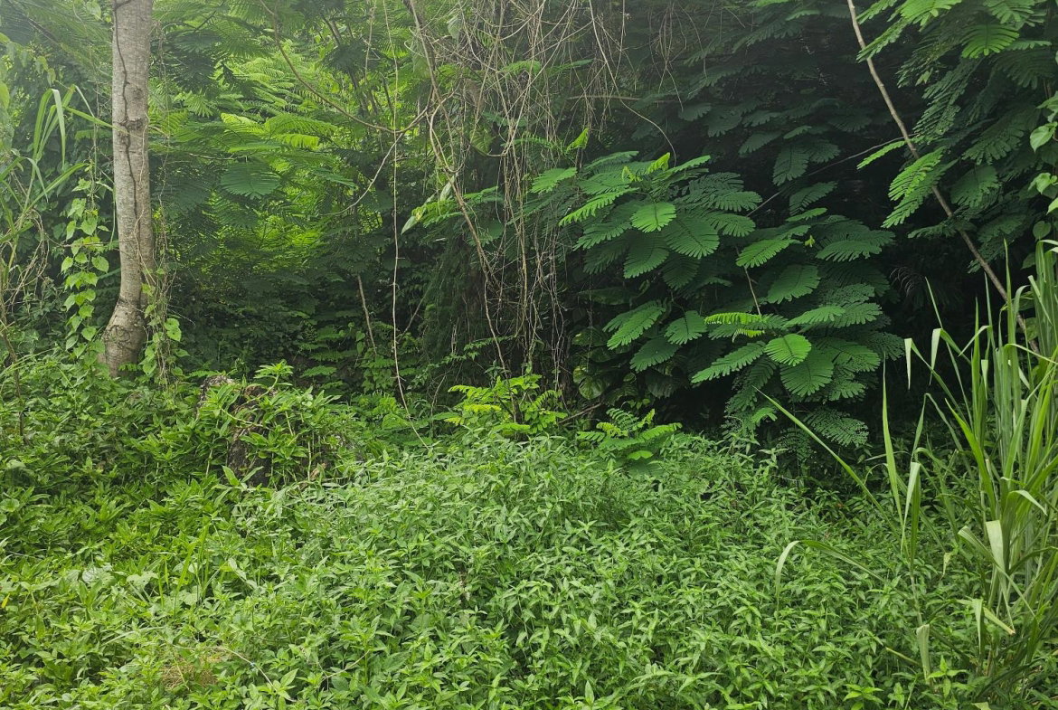 Tenth image of Lot 3 Ingleside Drive in Browns Town, St. Ann, Jamaica - property is For Sale