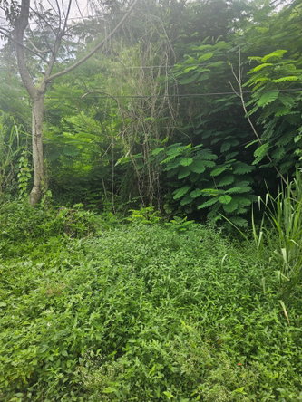 Tenth image of Lot 3 Ingleside Drive in Browns Town, St. Ann, Jamaica - property is For Sale