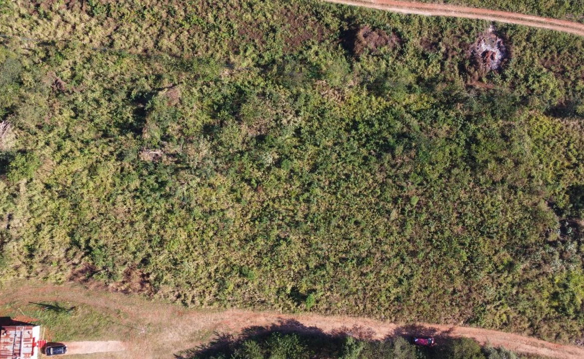 Sixteenth image of Lot 3- Bellevue Heights in Bellevue Heights, St. Catherine, Jamaica - property is For Sale