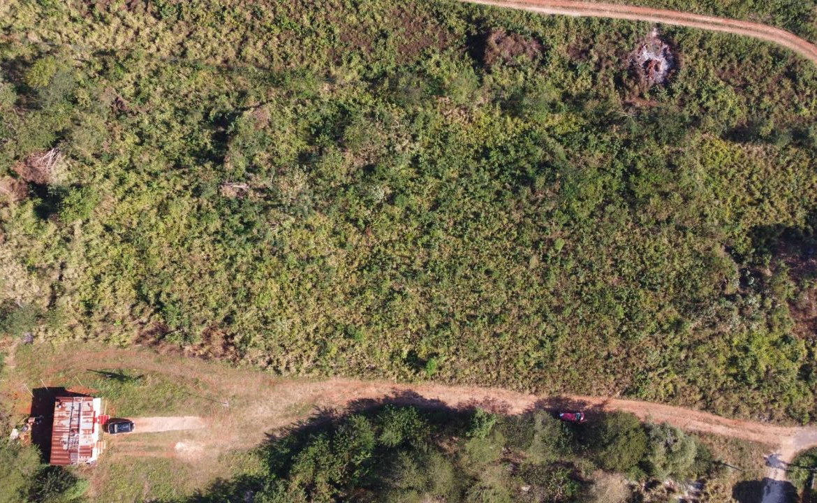 Sixteenth image of Lot 5- Bellevue Heights in Bellevue Heights, St. Catherine, Jamaica - property is For Sale